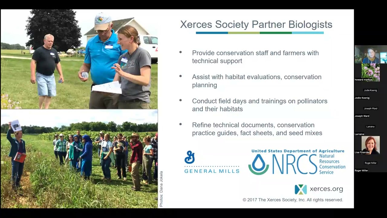 Insect Conservation Beyond the Home Garden