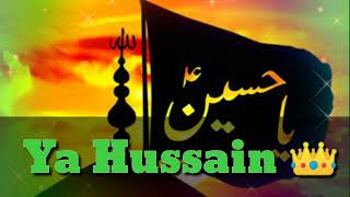 Ya Hussain 🥰 MOharram 2021 New Muharram Status|Muharram Special Status #HaiDary World screenshot 3