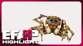 Suicide Spider | EFAP Highlight