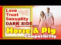 Horse And Pig Compatibility In Love Life Trust Intimacy Horse Pig Chinese Zodiac Compatibility Horse And Pig Compatibility In Love Life Trust Intimacy Horse Pig Chinese Zodiac Compatibility