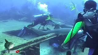 Dive Amigo's Wreck Belize