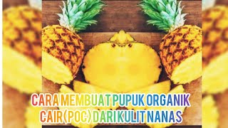 Cara membuat pupuk organik cair dari kulit buah nanas