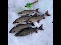 Зимняя рыбалка на севере Амурской области