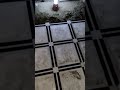marble floor design