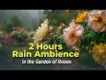 2 Hours Rain Ambience in the Garden of Roses