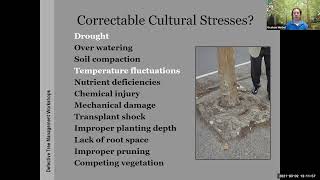 Tree Assessment and Risk Management