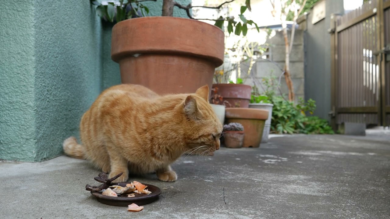 2026年03月01日08時33分