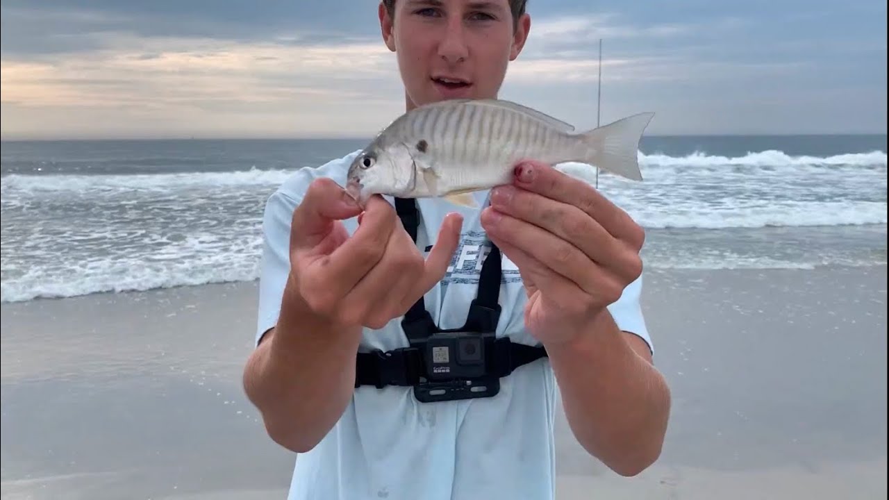SLAYING Spot with SABIKI Rigs off the SURF! (summer surf fishing)