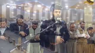 al-Qari al-Syaikh Ra'd Muhammad al-Kurdi [Surah ali-Imran 26-37]