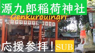 【源九郎稲荷神社】朝陽がさす境内の爽やかな気を感じよう！/Genkurouinari, a Shrine in Nara /使命を果たすべく頑張るご眷属様【大和郡山市・奈良】