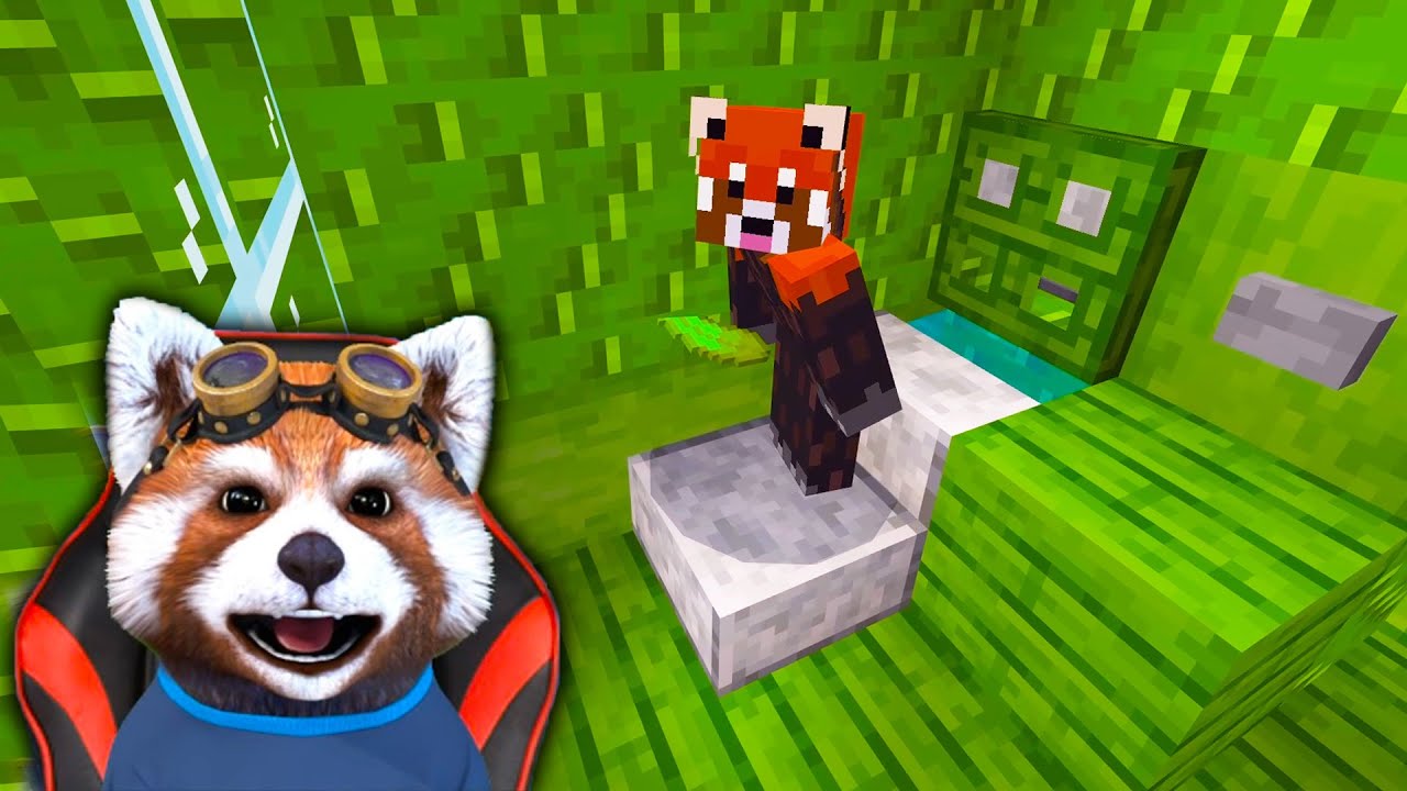 BAIA DIN CASA DE PE OCEANUL BLESTEMAT ESTE GATA! *Avem WC*