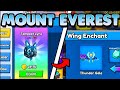 Unlocking the BEST Pet on MOUNT EVEREST in Climb and Jump Tower! DG LEADER