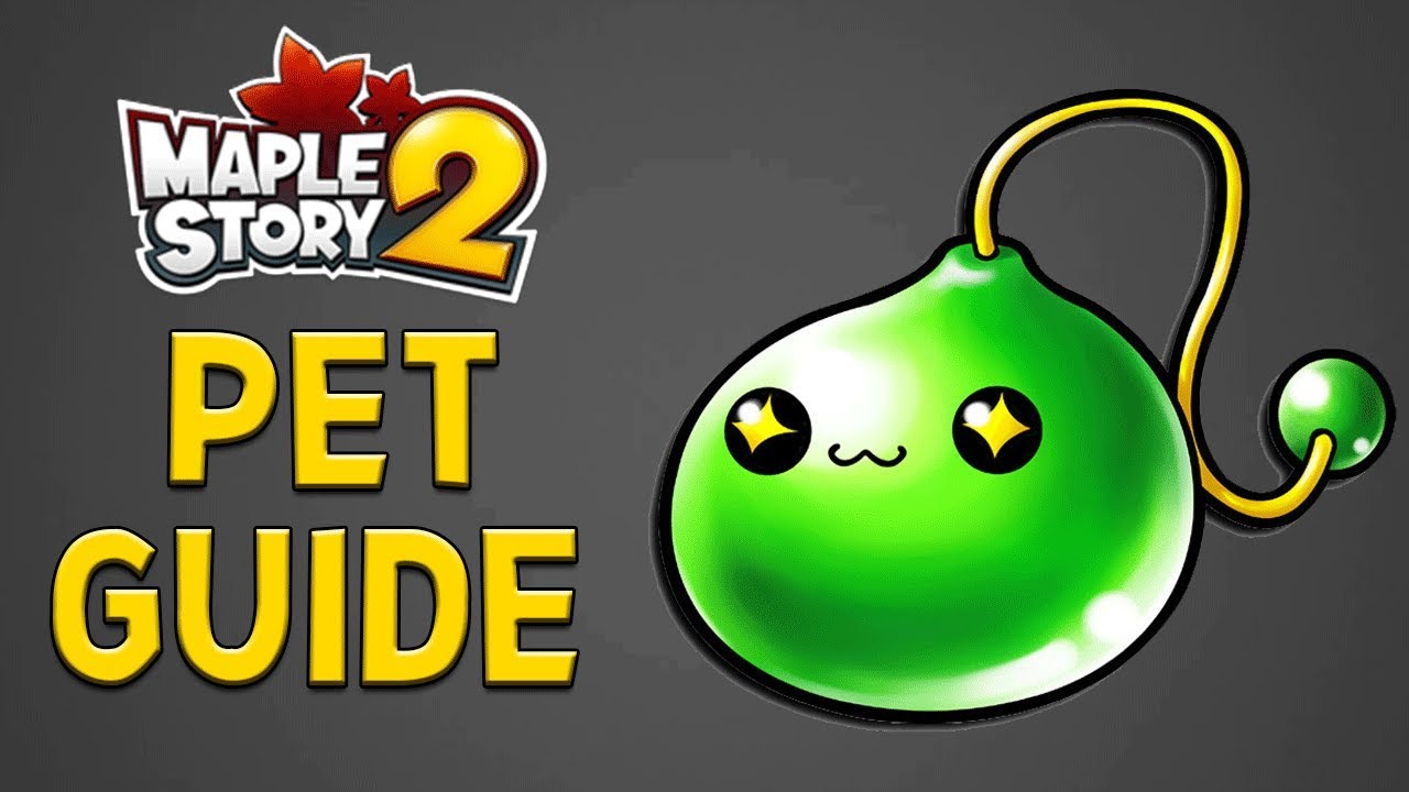 Maplestory 2 Beginner S Guide To Pets Different Ways To Get Pets Ms2 Guide Youtube
