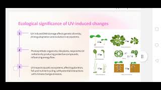 Effect of UV light on plant development🌿🌴