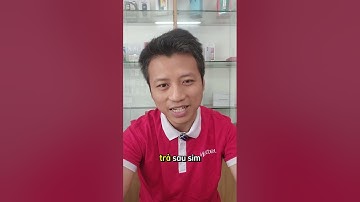 Sim Viettel Mang Sang Nước Ngoài Bao Lâu Không Dùng Thì Sẽ Bị Thu Hồi