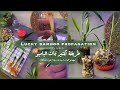 Lucky Bamboo Propagation Tutorial طريقة تكثير نبات البامبو عصا موسى دراسينا ساندريانا الخيزران 