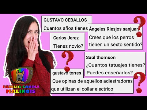 RESPONDIENDO a PREGUNTAS ÍNTIMAS SOBRE MI y TIPS | ESPECIAL +20K en Familia Canina Malinois