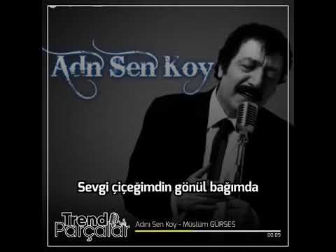 Müslüm gürses - Adını sen koy