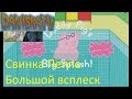 Свинка пеппа в игре &quot;Большой всплеск&quot; Смотрите как Сын с папой играют