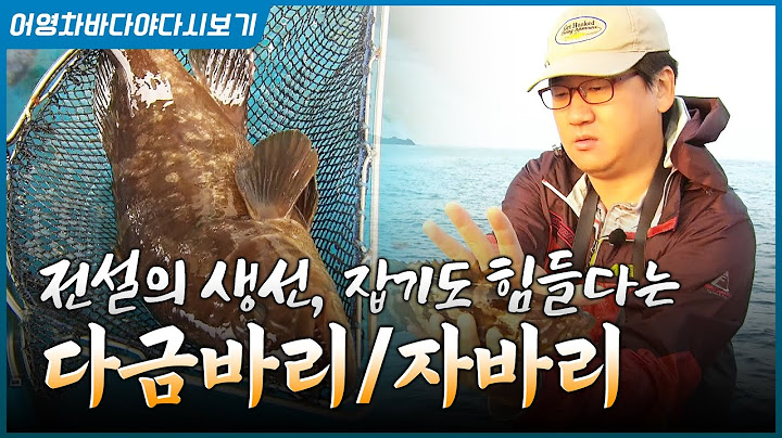 제주도 사람도 먹기 힘들다는 다금바리! 입질의 추억 김지민 님과 제주도로 떠납니다 #다금바리 #자바리 #김지민 #입질의추억