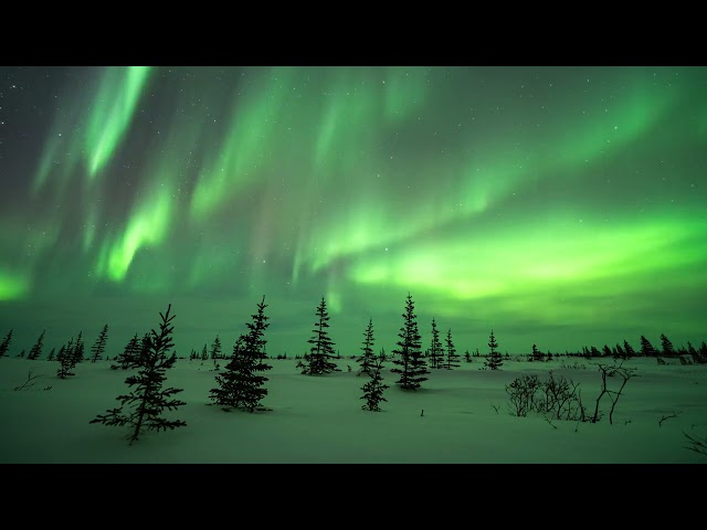 8K Ultra HD Northern Lights Timelapse Compilation from Churchill, Manitoba class=