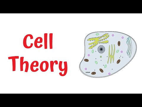 The History of Cell Theory   #cell theory #cell #microscope #history