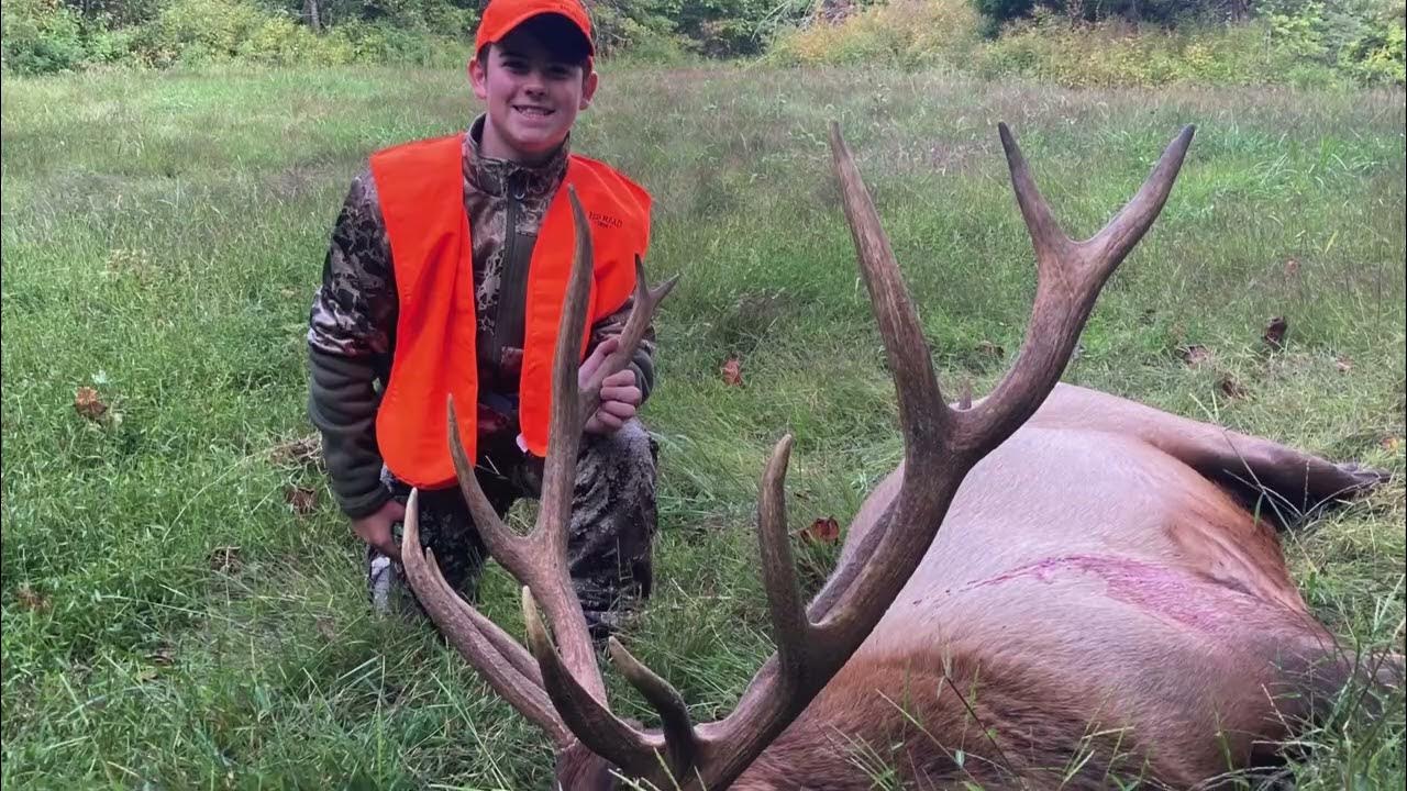 Elk in Tennessee Healthy, Growing, Opportunities for All TN WildCast 319 YouTube