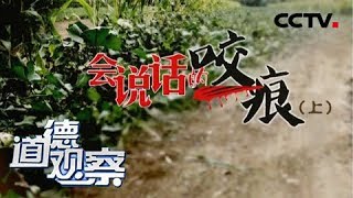 《道德观察(日播版)》会说话的咬痕(上)20190529 | CCTV社会与法