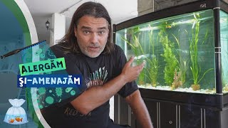 Vlog #17 | Pornim acvarii pe la hoteluri - Partea a doua