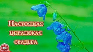 ЦЫГАНСКИЕ ТАНЦЫ на свадьбе Николая и Алены. Часть 9 ЦЫГАНСКИЕ ТАНЦЫ на свадьбе Николая и Алены. Часть 9