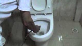 Apex Wireless - Giant Toilet Spider