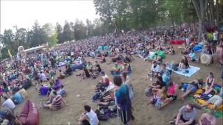 Electric Forest 2017- Walking and people