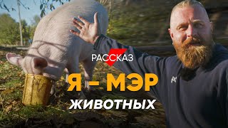 Когда Соседи Козлы: #Рассказ О Необычной Деревне Для Животных