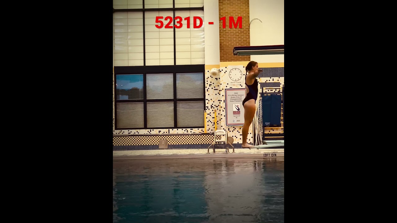 5231D 1 Meter - Diving/RIPFEST