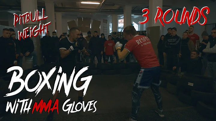 Titel im Pitbull Gewicht | Tarig vs Leon | Boxing ...