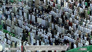 مغرب الخميس|للشيخ #خالد_المهنا 14-10-1444هـ |من سورة الأحزاب