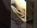 weight loose belly #workout #ditefood #gym #weightloss #shortvideo
