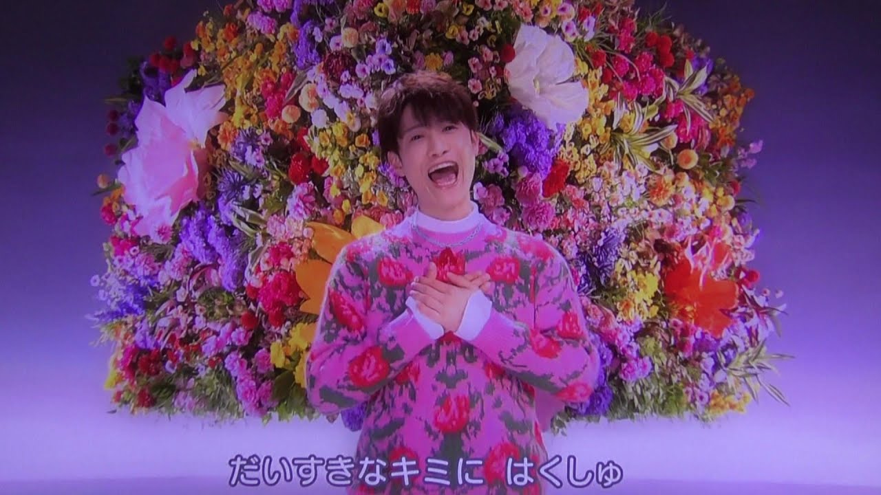 活動歴および当時の関連ビジュアル記録
