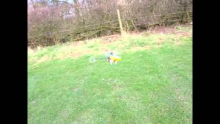 Trex 250 Clone Electric Heli