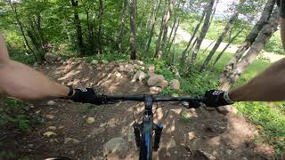 Detroit mountain steal your face -