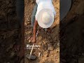 Compaction checking by Core cutter method #shortvideo #civilworldofficial #qualitycontrol