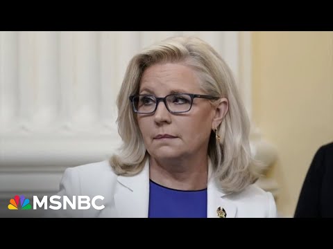 Liz Cheney urges the Supreme Court to stop aiding Donald Trump’s delay tactics