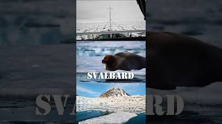 Svalbard Ep 5 | 800 km from the North Pole & I Saw Polar Bears🐻‍❄️ | Svalbard Arctic Cruise #arctic