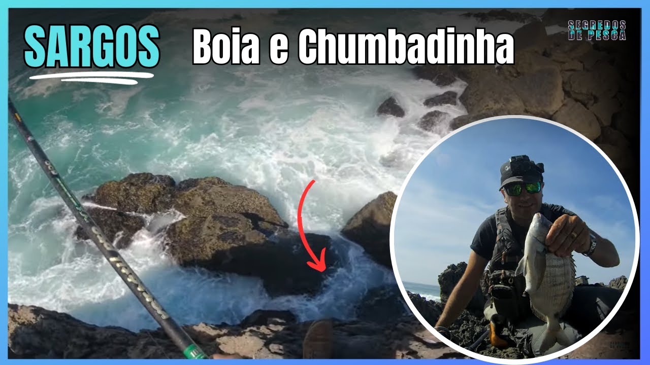 Pesca aos Sargos a boia e a chumbadinha!
