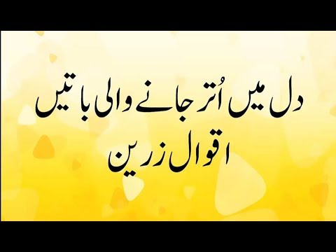      اقوال زریں