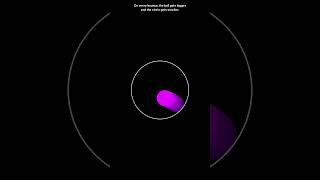 Famous Ball bouncing simulation #coding #python #adhd #simulations #pygame #ball Net Worth