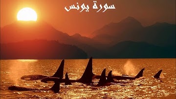 {سُورة يُونسSurah Yunus-narration Ibn Wardan } برواية ابن وردان من قراءة أبي جعفر\ تهجد رمضان 1442هـ