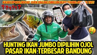 Hunting Ikan Jumbo Apapun Dipilihin Ojek Online Ke Pasar Ikan Terbesar Rp 400000 Dapet Apa