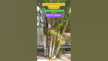 #open plots in shadnagar #gated community plots in shadnagar Hyderabad