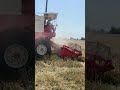 गेहूं के कटाई 🌾🌾 #trending #vlog #explorenow #explore #minivlog #vira #viral #funn #insta#instgram